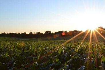 potassio-fortalece-a-seguranca