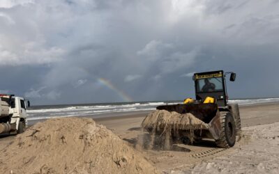Prefeitura de Ilhéus inicia limpeza das Praias da Zona Norte para proteger tartarugas marinhas