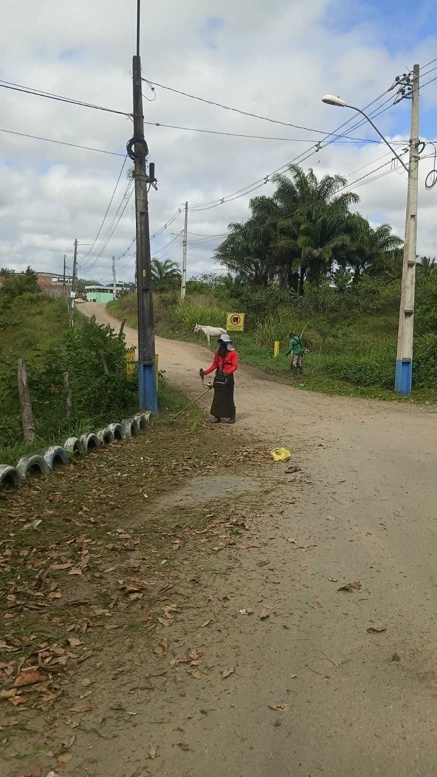 Roçagem e capinagem beneficiam diversos pontos de Ilhéus